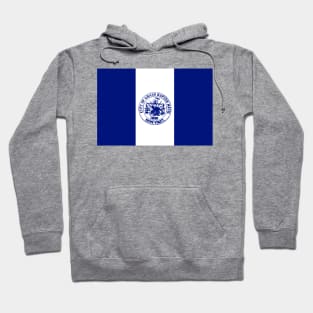 Flag of Grand Rapids, Michgan Hoodie